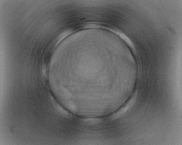 X0000113590953200910161840