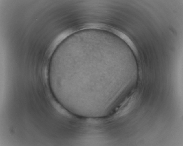 X0000113590954200910161840