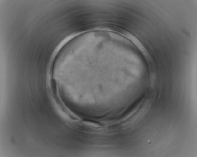 X0000113590955200910161840