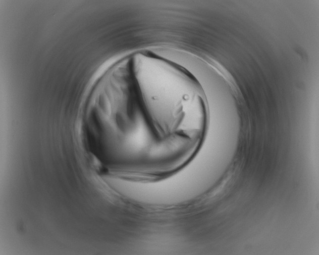 X0000113590956200910161840
