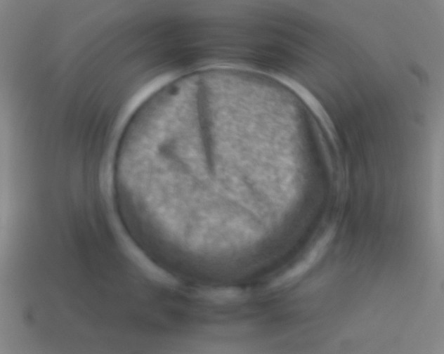 X0000113590957200910161840