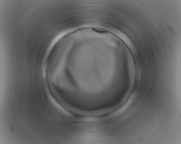 X0000113590958200910161840