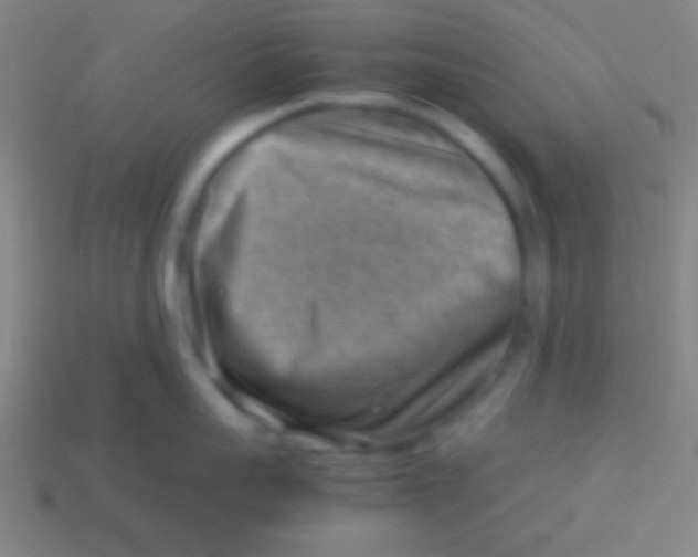 X0000113590959200910161840