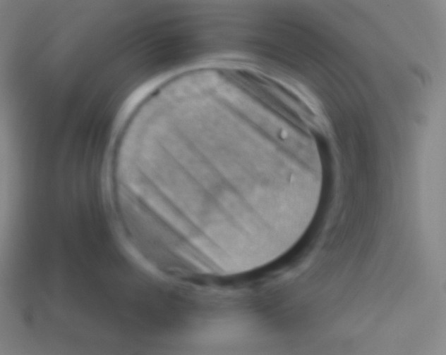 X0000113590960200910161840