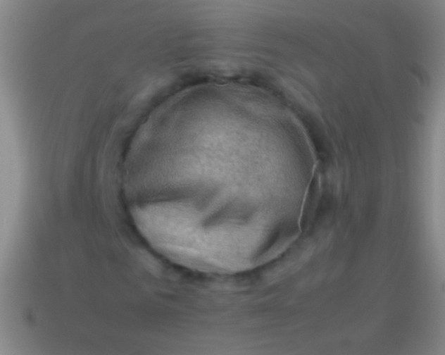 X0000113590961200910161840
