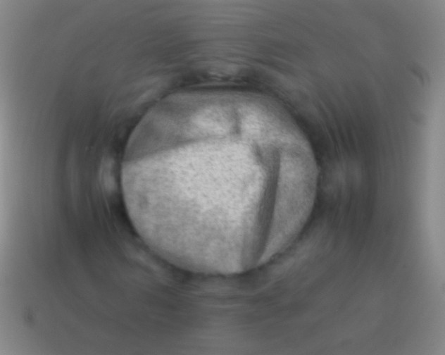 X0000113590962200910161839