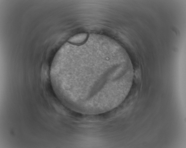X0000113590963200910161839