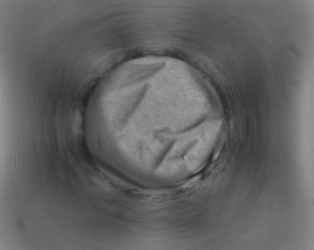 X0000113590964200910161839