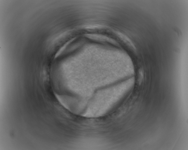 X0000113590966200910161839
