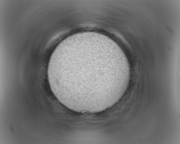 X0000113590967200910161839