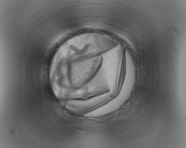 X0000113590968200910161839