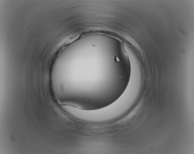 X0000113590969200910161839
