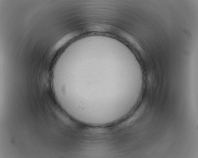X0000113590970200910161839