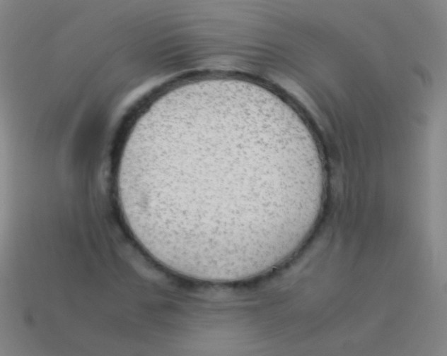X0000113590971200910161839