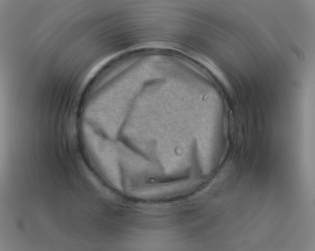 X0000113590972200910161839