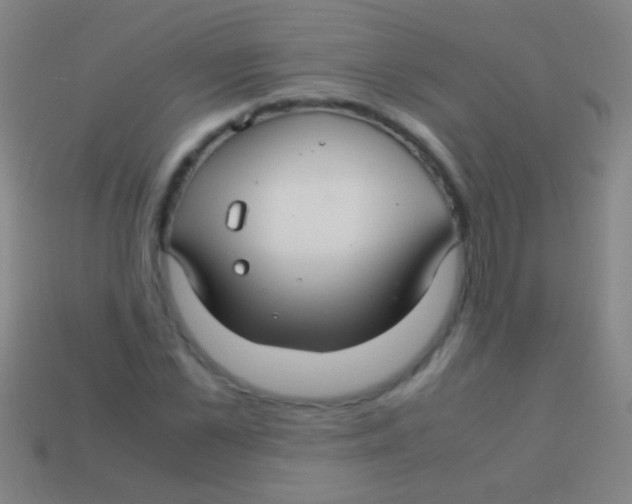 X0000113590973200910161839