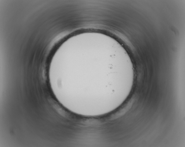 X0000113590974200910161839