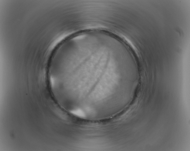 X0000113590975200910161839