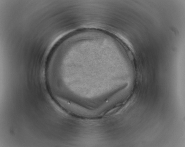 X0000113590976200910161839