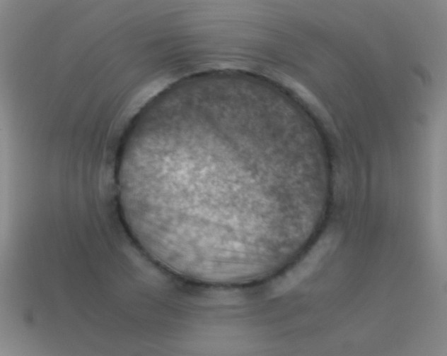 X0000113590977200910161839