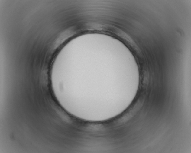 X0000113590978200910161839