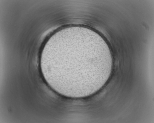 X0000113590979200910161839
