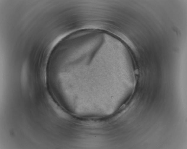 X0000113590980200910161839