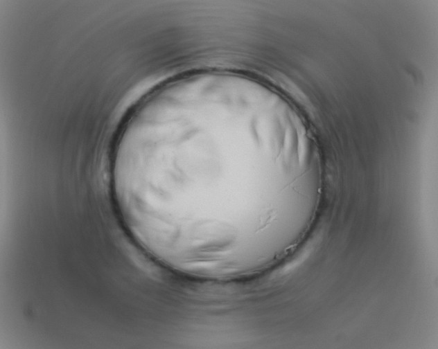 X0000113590981200910161839