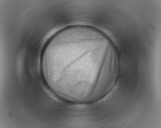 X0000113590982200910161839
