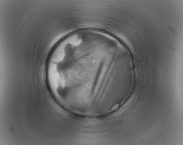 X0000113590983200910161839