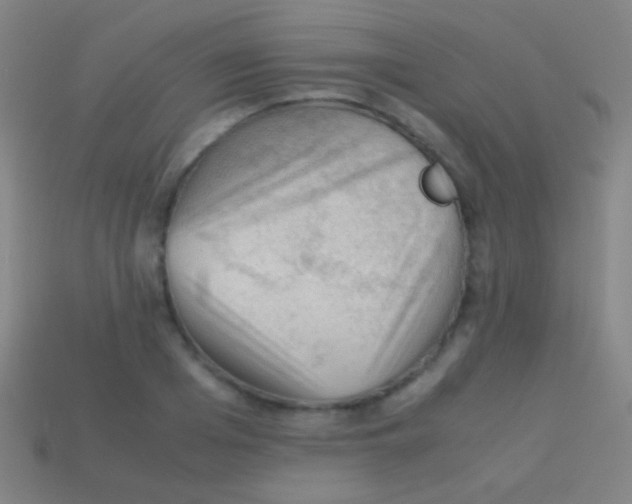X0000113590985200910161839