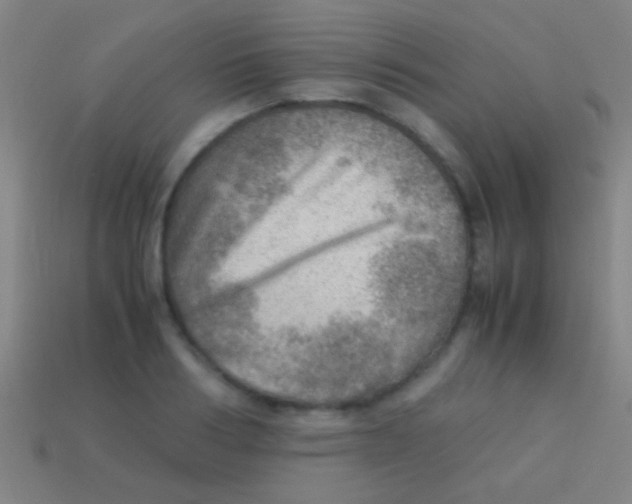 X0000113590986200910161839