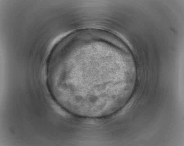 X0000113590987200910161839