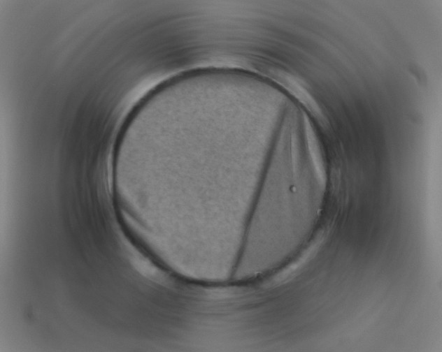 X0000113590988200910161839