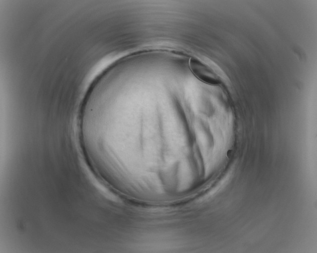 X0000113590989200910161839