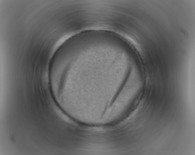 X0000113590990200910161839