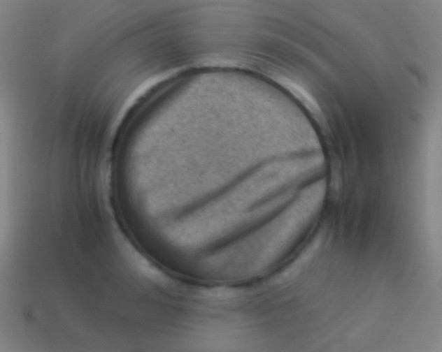 X0000113590992200910161839