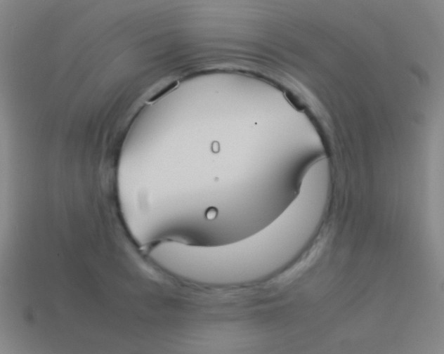 X0000113590993200910161839
