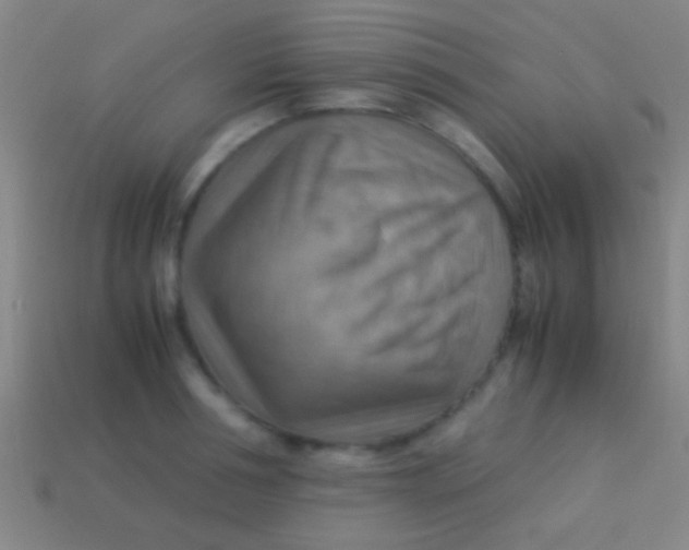 X0000113590994200910161839
