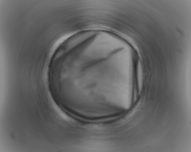 X0000113590995200910161839