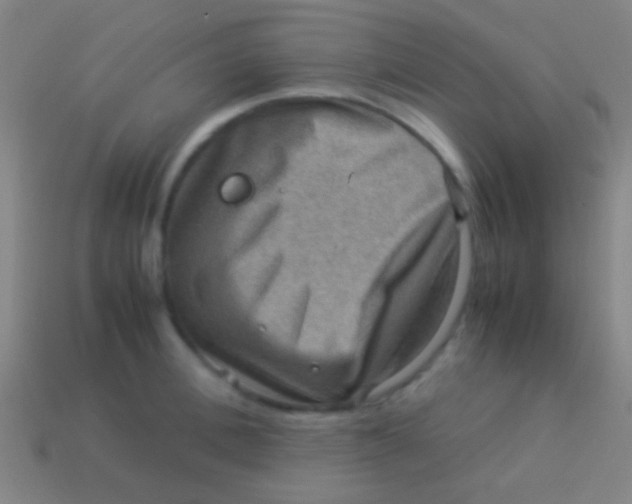 X0000113590996200910161839