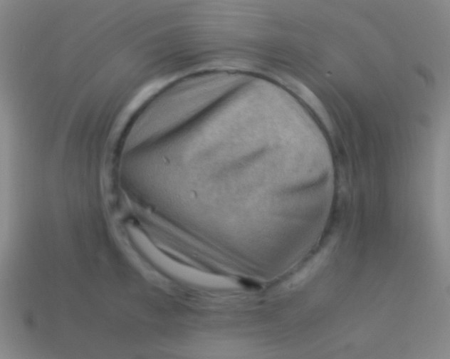 X0000113590997200910161839