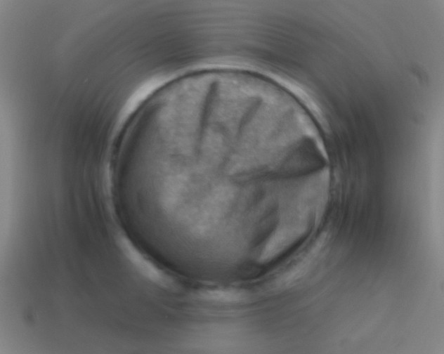X0000113590998200910161839