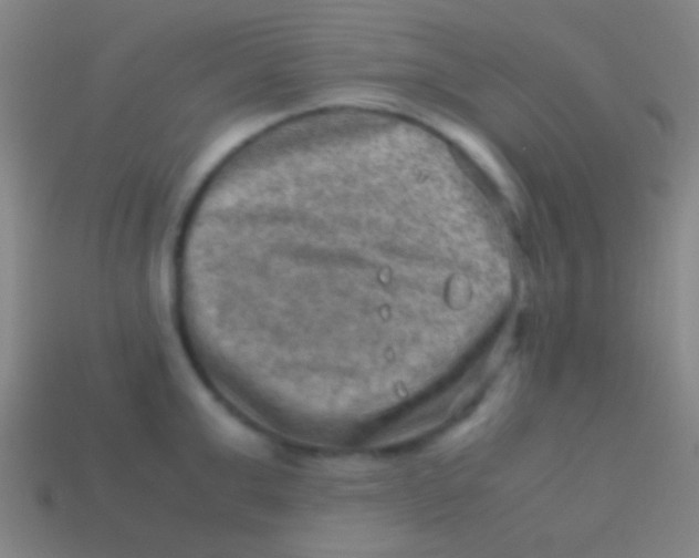 X0000113590999200910161839
