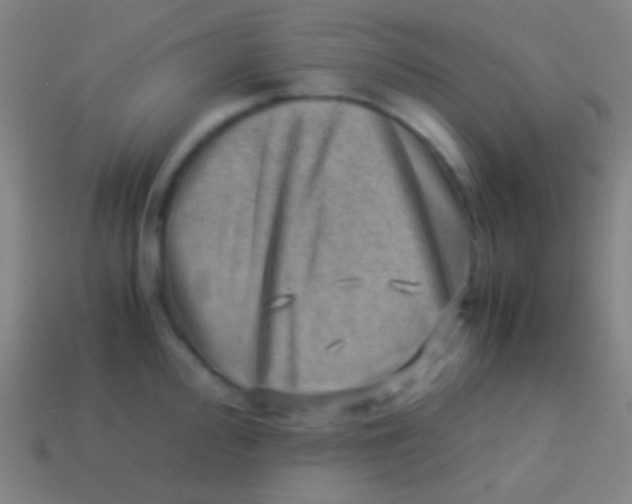 X0000113591000200910161839