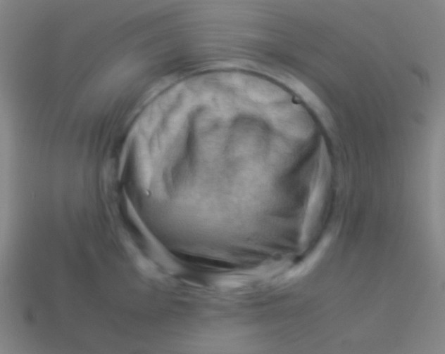 X0000113591001200910161839