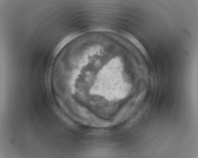 X0000113591002200910161839