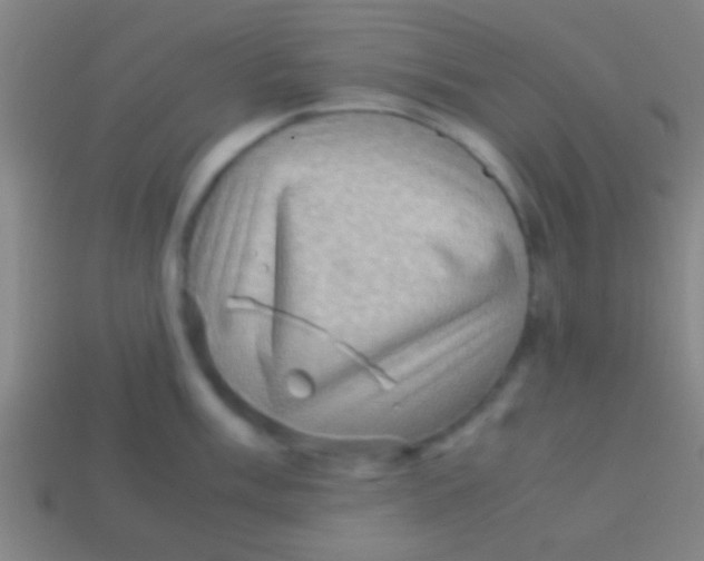 X0000113591003200910161839