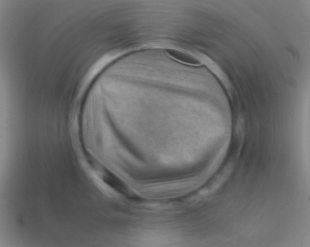X0000113591005200910161839