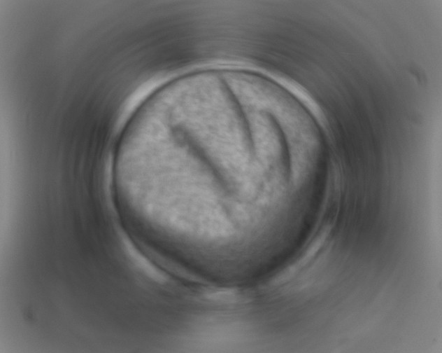 X0000113591006200910161839